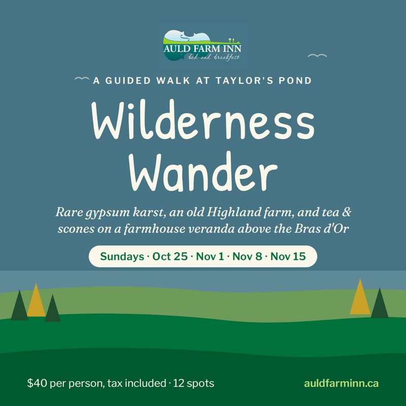 Wilderness Wander - Oct 25